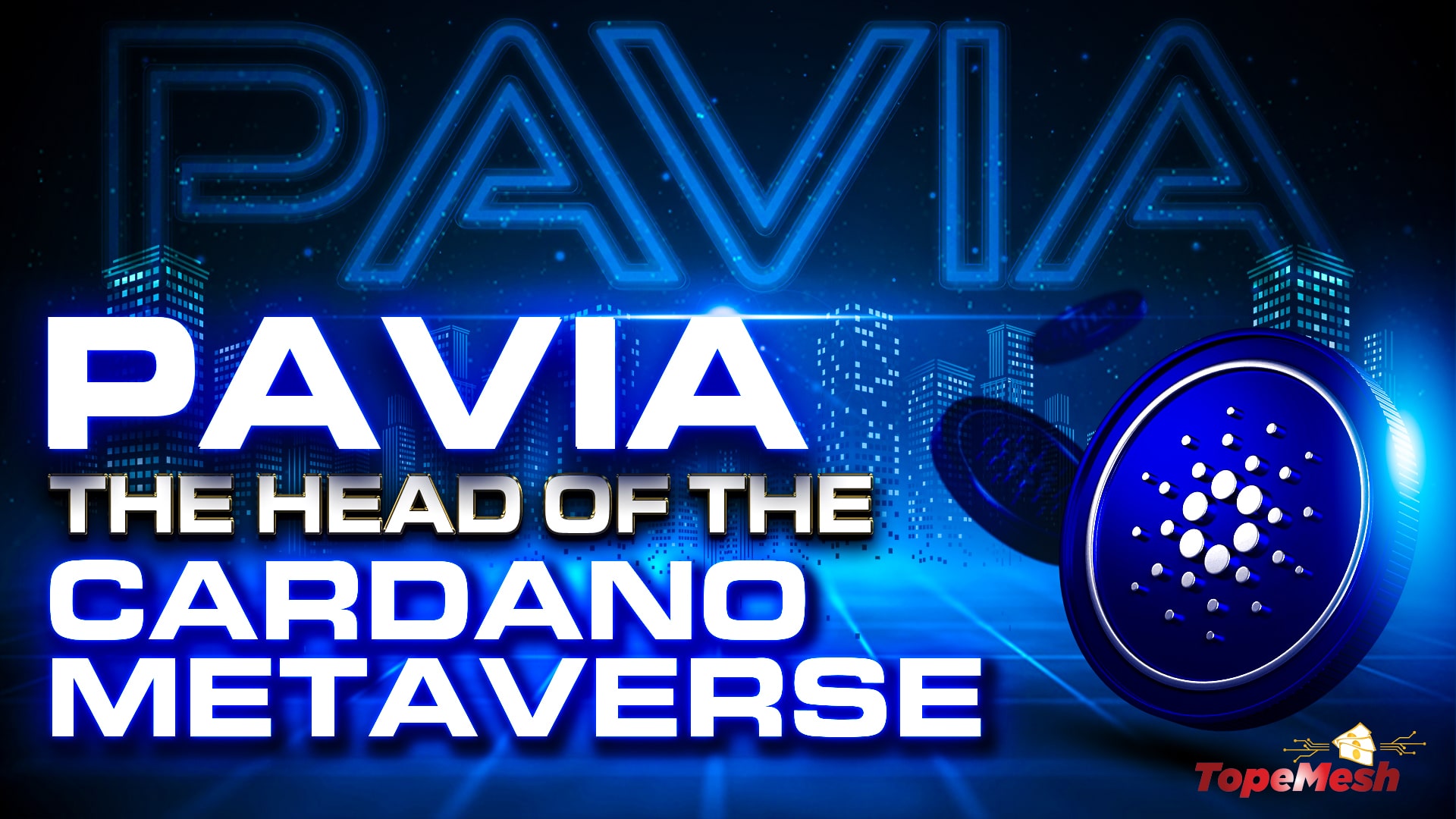 Pavia - The Head Of The Cardano Metaverse